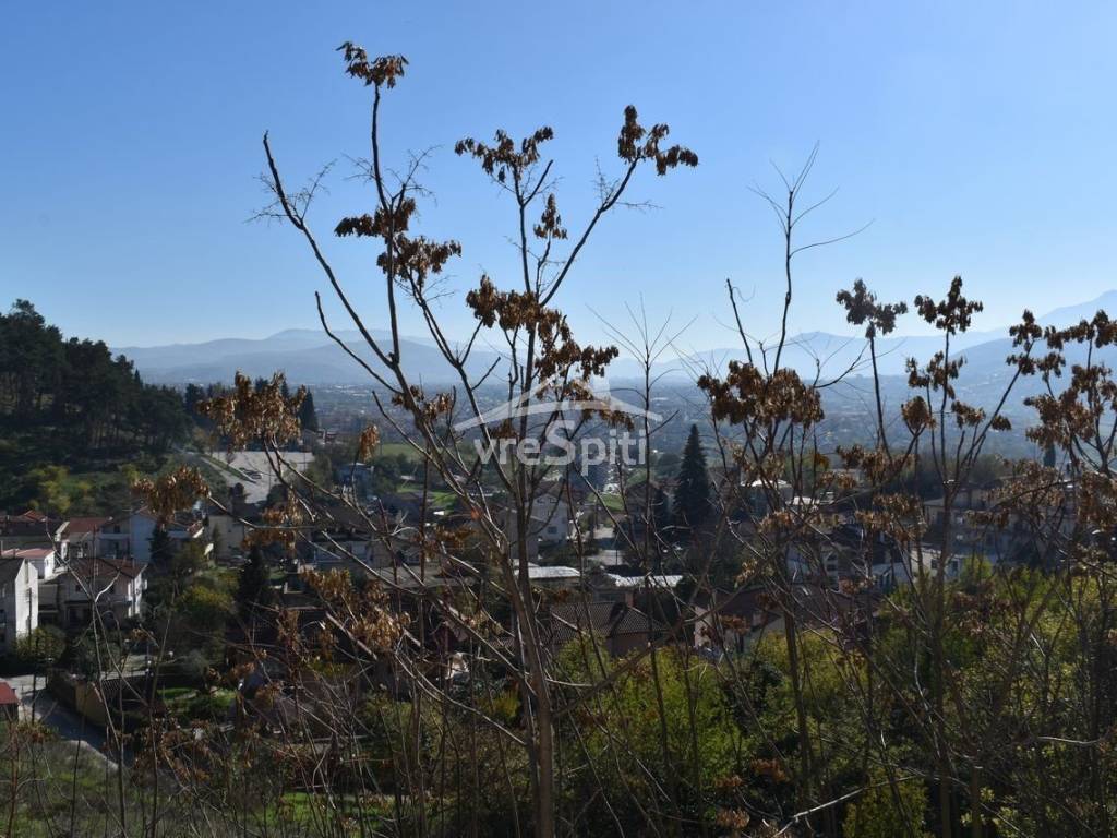 ΑΠΟΨΗ ΟΙΚΟΠΕΔΟΥ