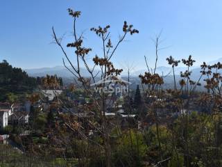ΑΠΟΨΗ ΟΙΚΟΠΕΔΟΥ