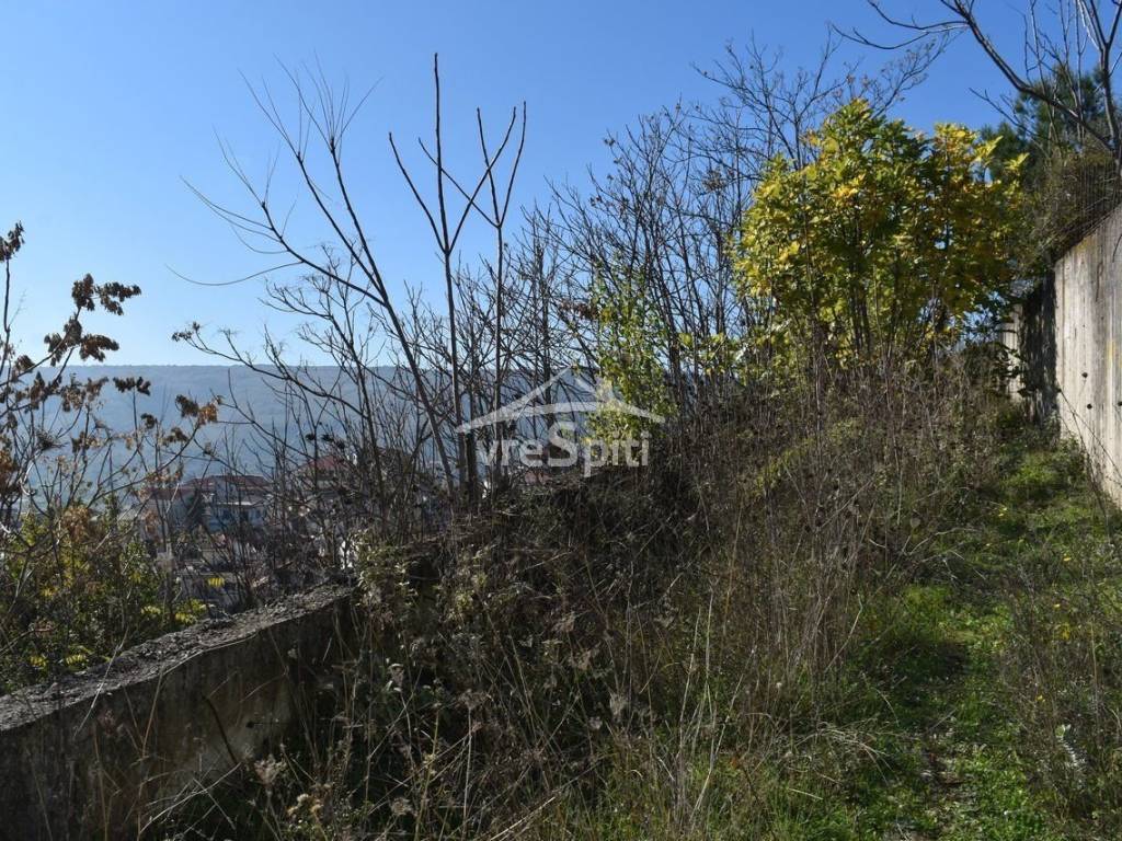 ΑΠΟΨΗ ΟΙΚΟΠΕΔΟΥ