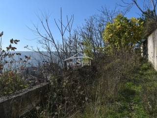 ΑΠΟΨΗ ΟΙΚΟΠΕΔΟΥ