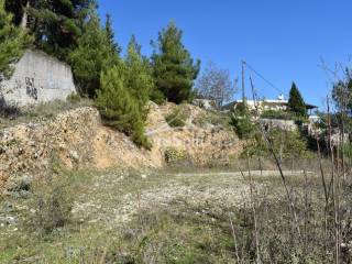 ΑΠΟΨΗ ΟΙΚΟΠΕΔΟΥ