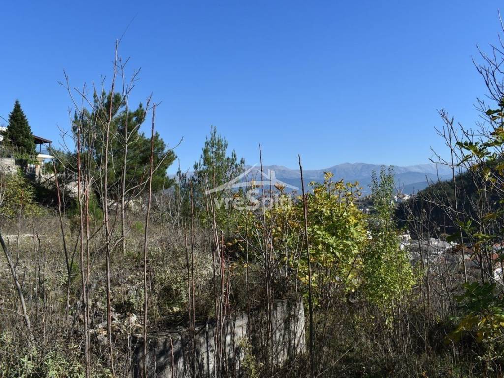 ΑΠΟΨΗ ΟΙΚΟΠΕΔΟΥ