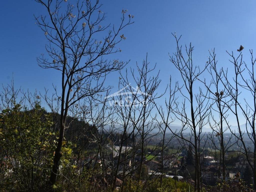 ΑΠΟΨΗ ΟΙΚΟΠΕΔΟΥ