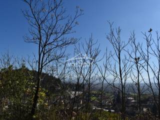 ΑΠΟΨΗ ΟΙΚΟΠΕΔΟΥ