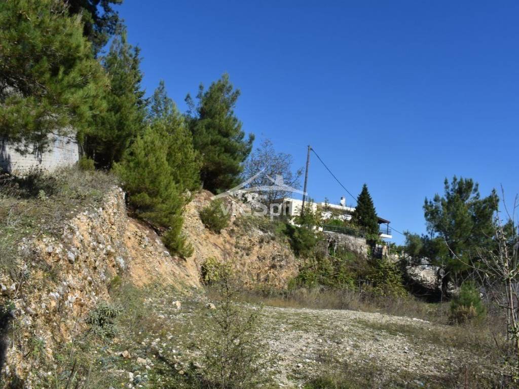 ΑΠΟΨΗ ΟΙΚΟΠΕΔΟΥ