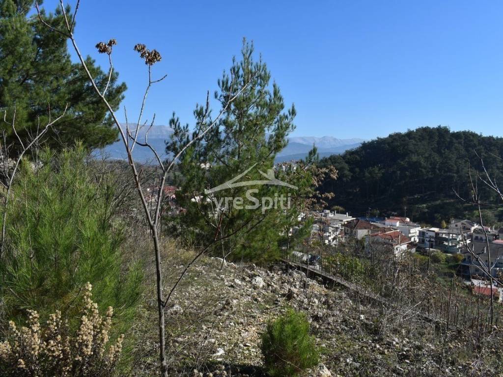 ΑΠΟΨΗ ΟΙΚΟΠΕΔΟΥ