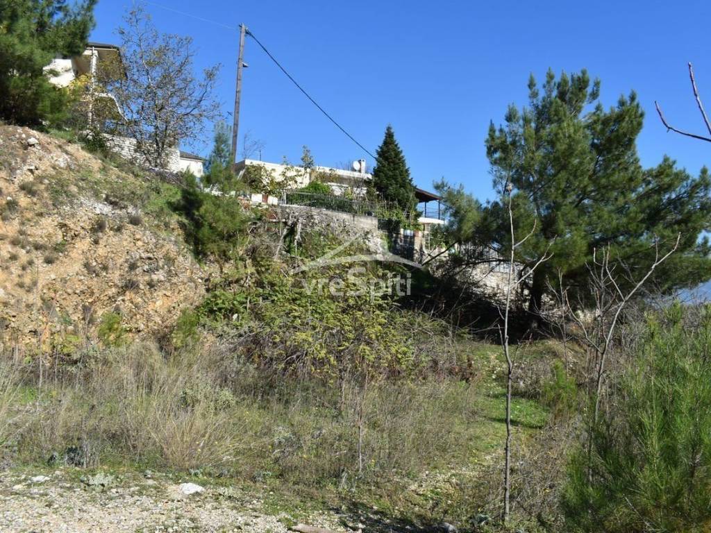 ΑΠΟΨΗ ΟΙΚΟΠΕΔΟΥ