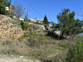 ΑΠΟΨΗ ΟΙΚΟΠΕΔΟΥ