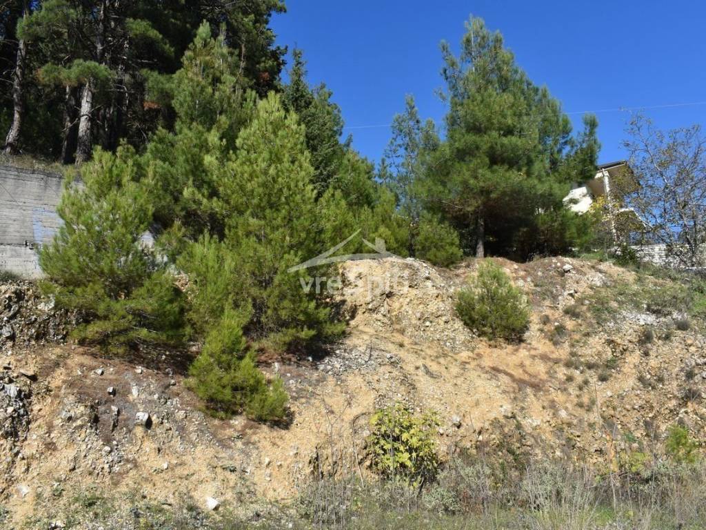 ΑΠΟΨΗ ΟΙΚΟΠΕΔΟΥ