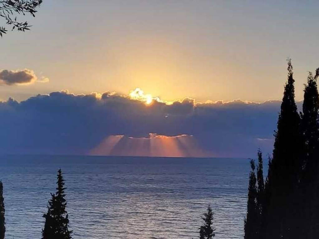 Detached - Grekodom 60216|1032287