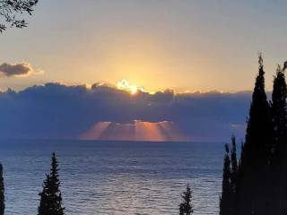 Detached - Grekodom 60216|1032287