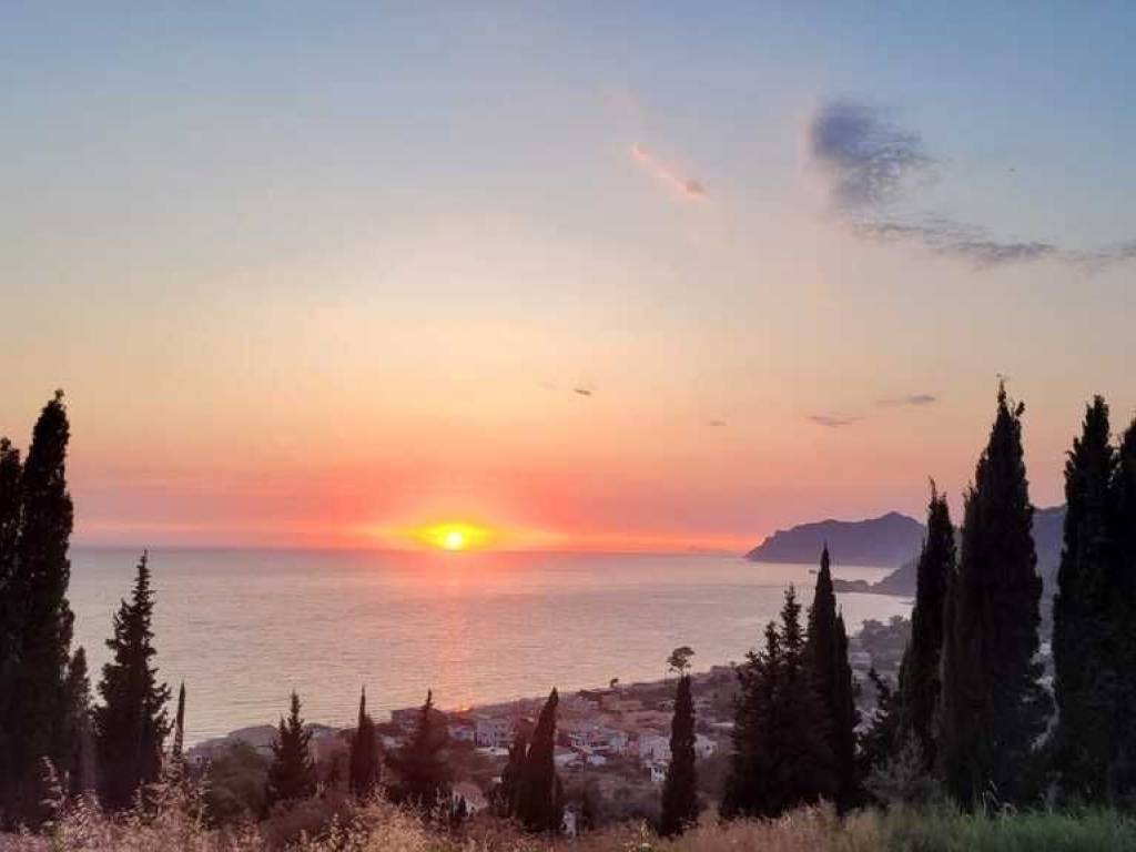 Detached - Grekodom 60216|1032288