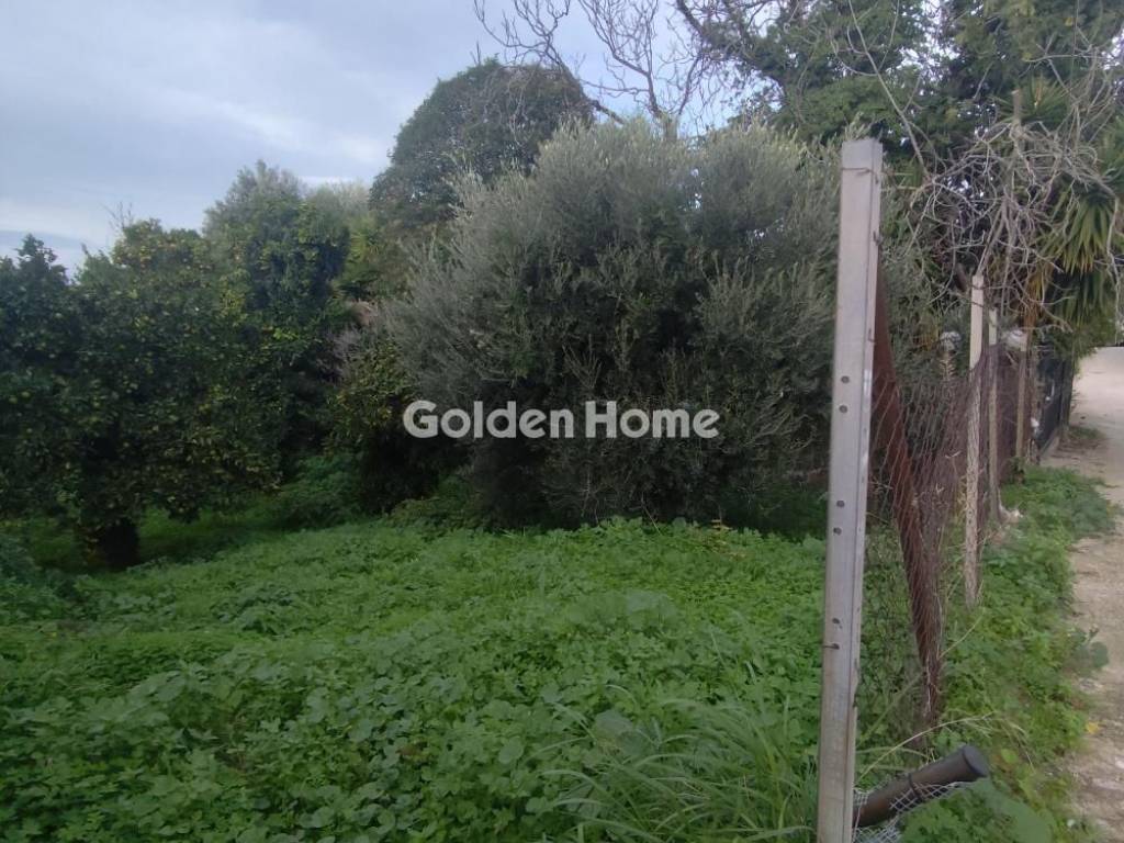 Εξωτερικός Χώρος