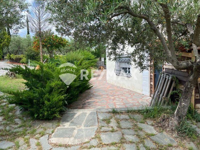 Εξωτερικός χώρος