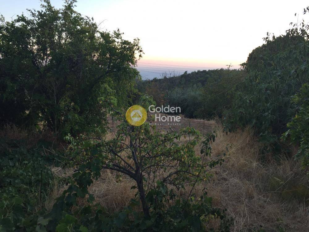 Κυρίως Χώρος