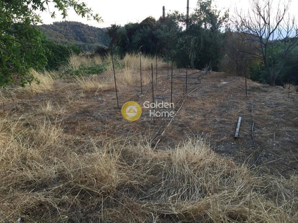 Κυρίως Χώρος