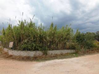 Plot - Grekodom 23804|313293