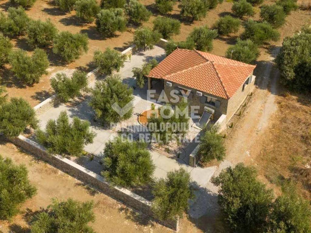 Εξωτερικοι χώροι