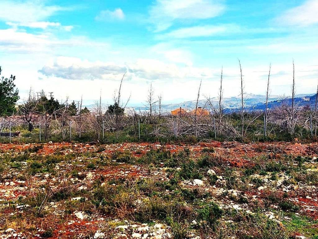 Εξωτερικοι χώροι