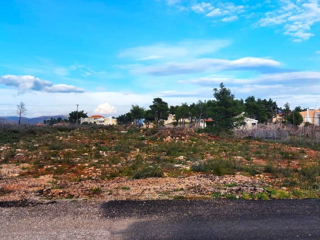 Εξωτερικοι χώροι