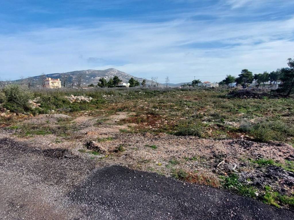 Εξωτερικοι χώροι