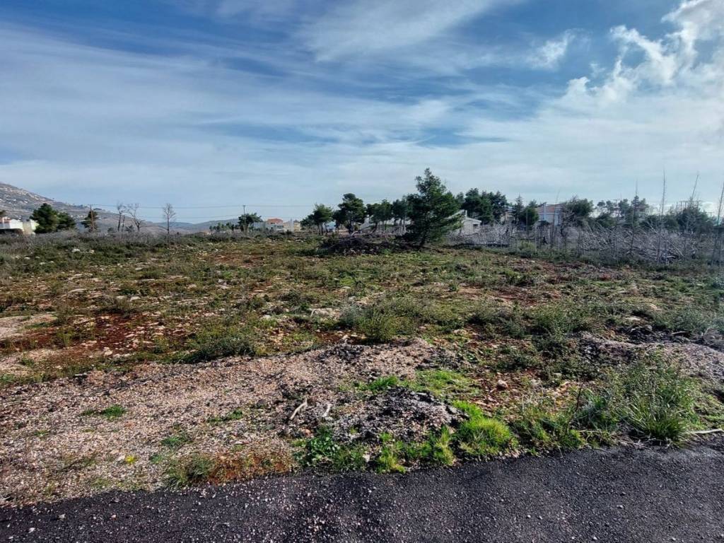 Εξωτερικοι χώροι