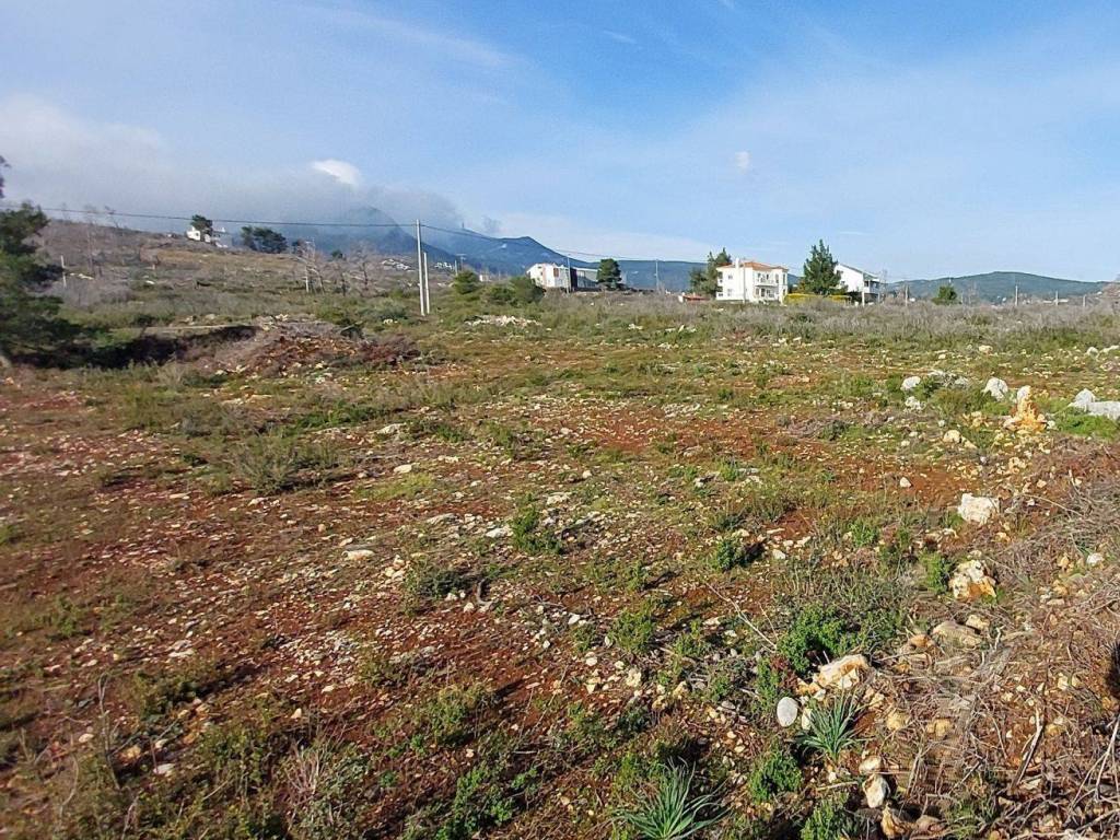 Εξωτερικοι χώροι