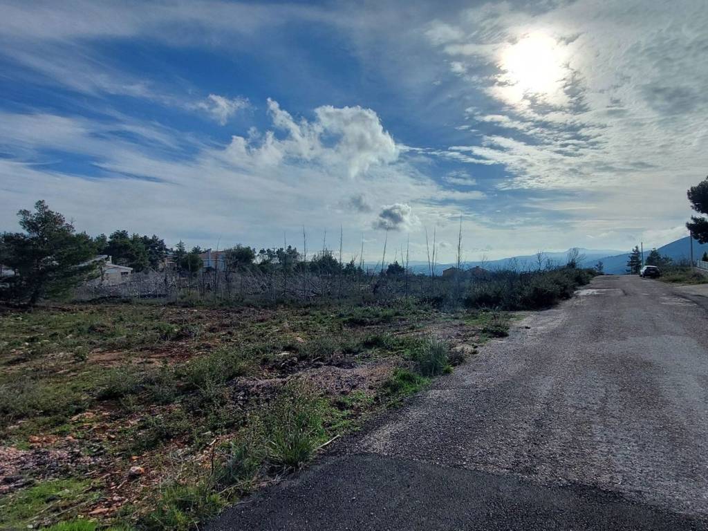 Εξωτερικοι χώροι