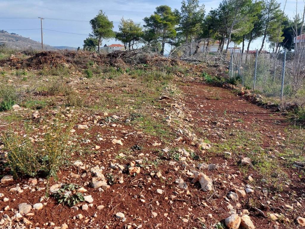 Εξωτερικοι χώροι