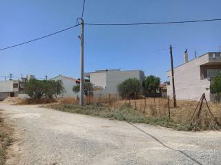 PROSOPSE 25 m. SE DROMO PLATOYS 7.50 m.