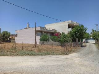 PROSOPSE 25 m. SE DROMO PLATOYS 7.50 m.