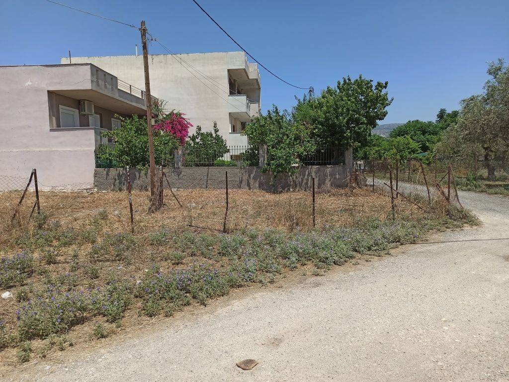 PROSOPSE 25 m. SE DROMO PLATOYS 7.50 m.