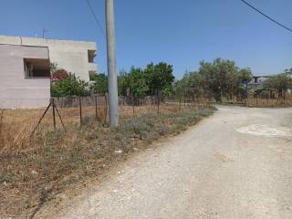 PROSOPSE 25 m. SE DROMO PLATOYS 7.50 m.