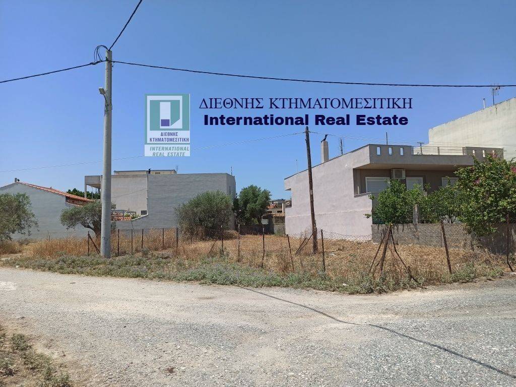 PROSOPSE 25 m. SE DROMO PLATOYS 7.50 m.