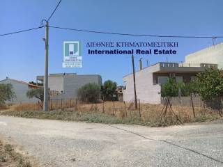 PROSOPSE 25 m. SE DROMO PLATOYS 7.50 m.