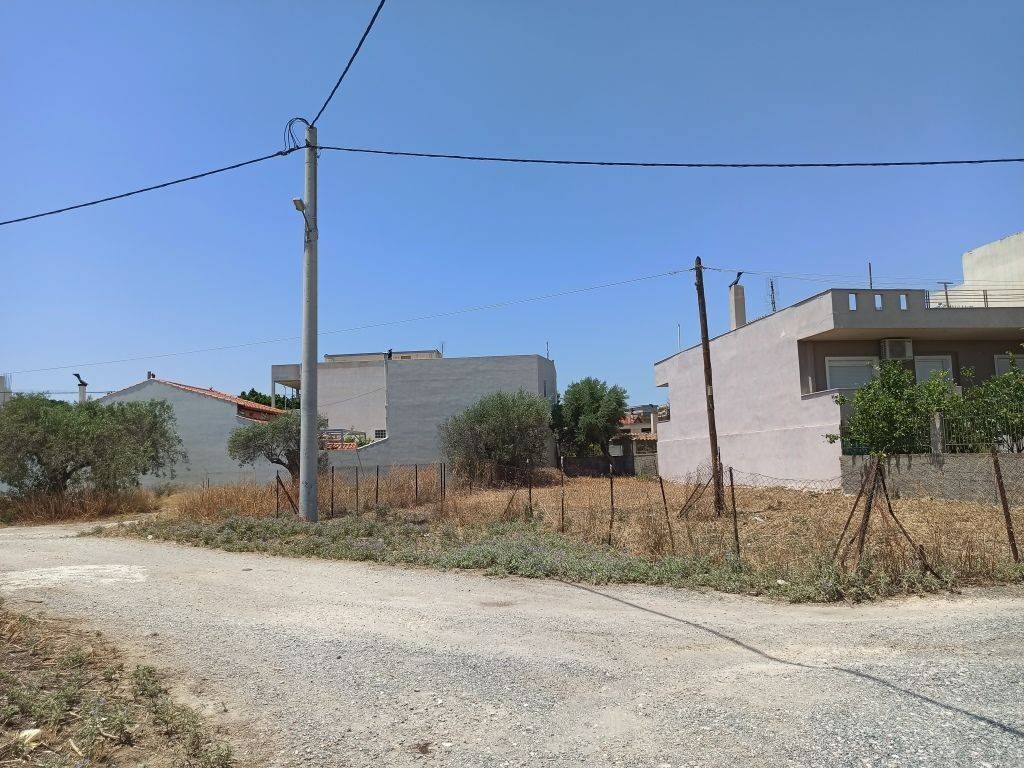 PROSOPSE 25 m. SE DROMO PLATOYS 7.50 m.