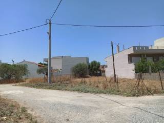 PROSOPSE 25 m. SE DROMO PLATOYS 7.50 m.