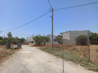 PROSOPSE 25 m. SE DROMO PLATOYS 7.50 m.