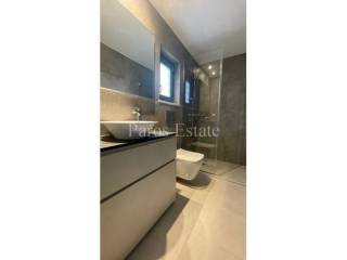 Λουτρό παταριού