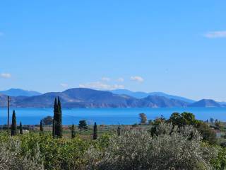 buildable plot of land of 5,500 sq.m.