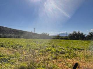 buildable plot of land of 5,500 sq.m.