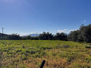 buildable plot of land of 5,500 sq.m.