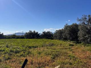 buildable plot of land of 5,500 sq.m.