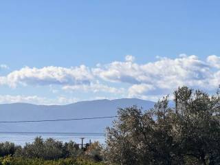 buildable plot of land of 5,500 sq.m.