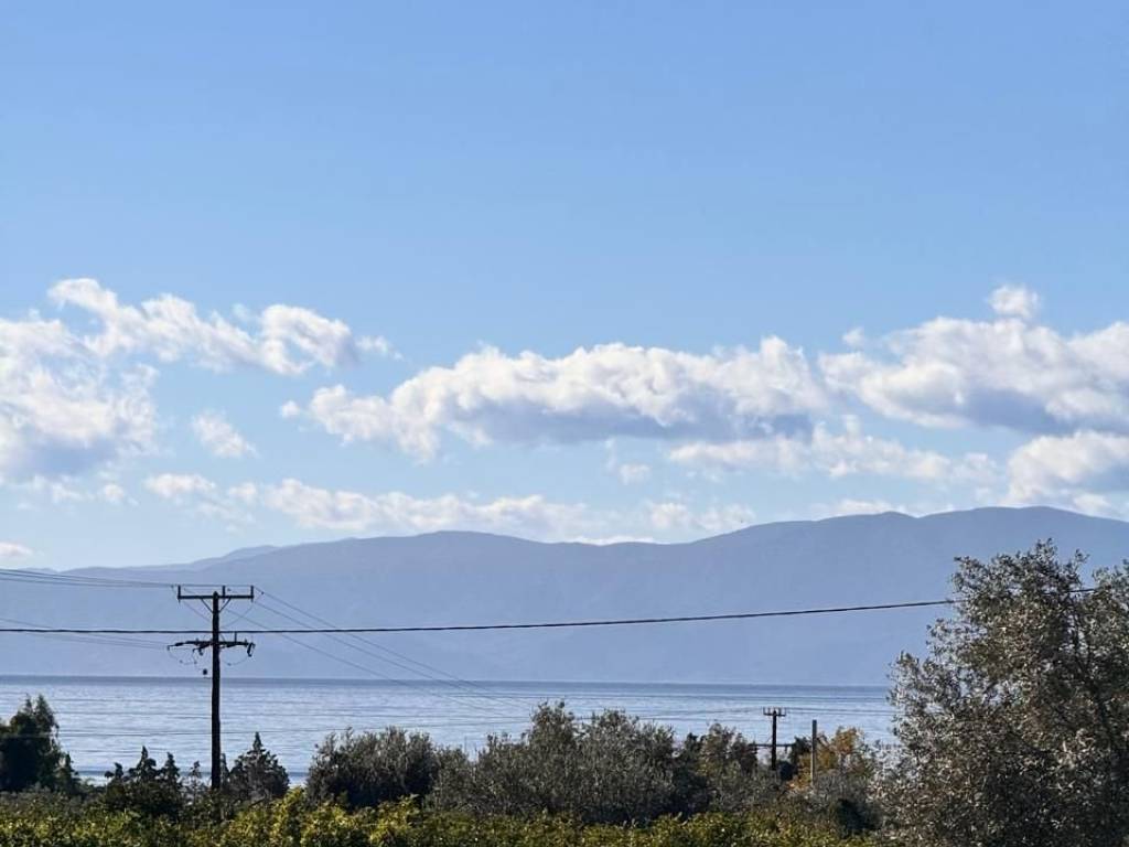 buildable plot of land of 5,500 sq.m.