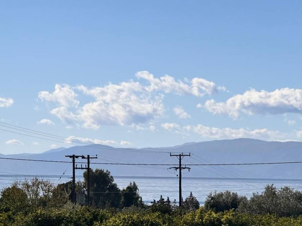 buildable plot of land of 5,500 sq.m.