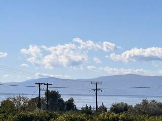 buildable plot of land of 5,500 sq.m.