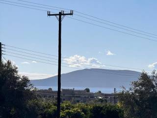 buildable plot of land of 5,500 sq.m.