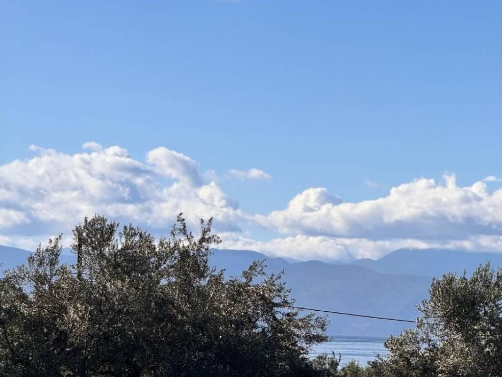 buildable plot of land of 5,500 sq.m.