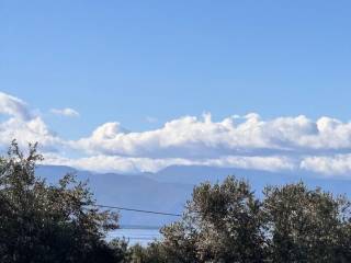 buildable plot of land of 5,500 sq.m.